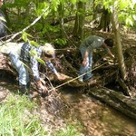 photo of Integrated Science students measuring a stream